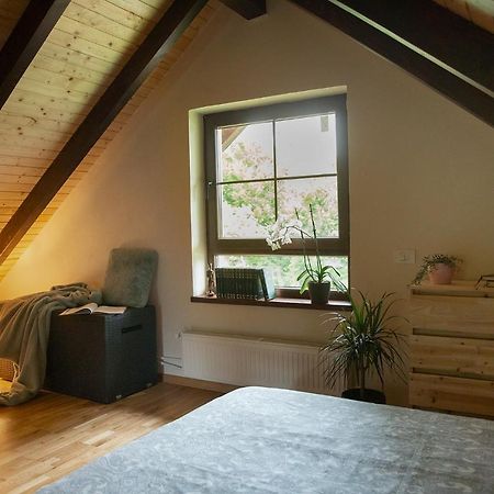 Casuta Cu Bine Villa Valea Lunga-Ogrea Екстериор снимка