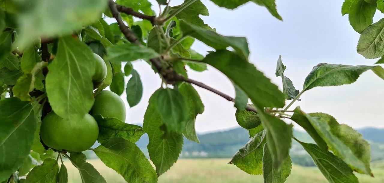 Casuta Cu Bine Villa Valea Lunga-Ogrea Екстериор снимка