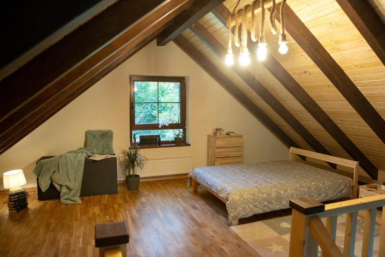 Casuta Cu Bine Villa Valea Lunga-Ogrea Екстериор снимка