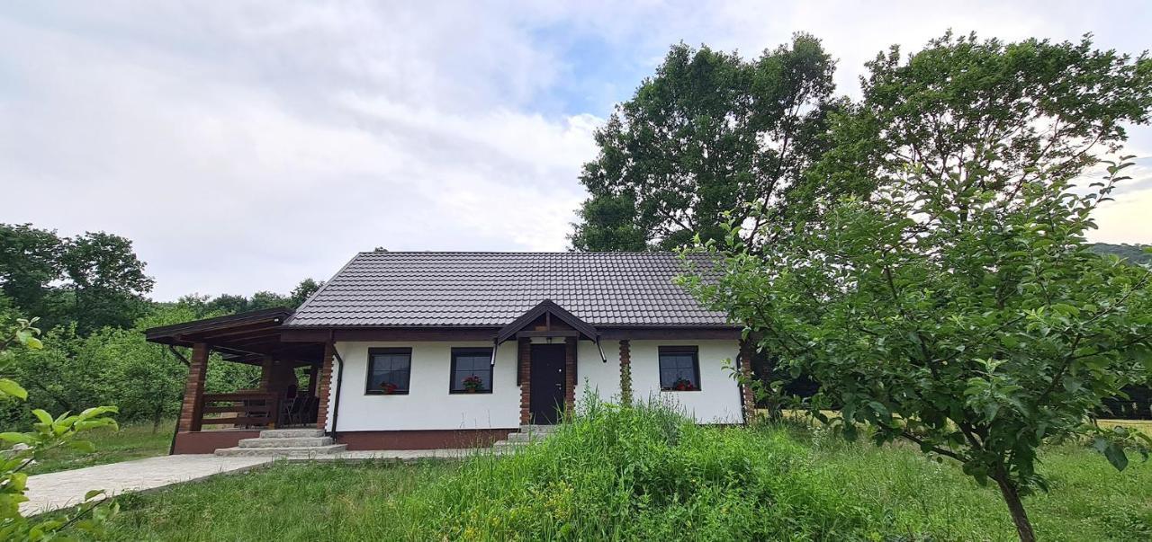 Casuta Cu Bine Villa Valea Lunga-Ogrea Екстериор снимка
